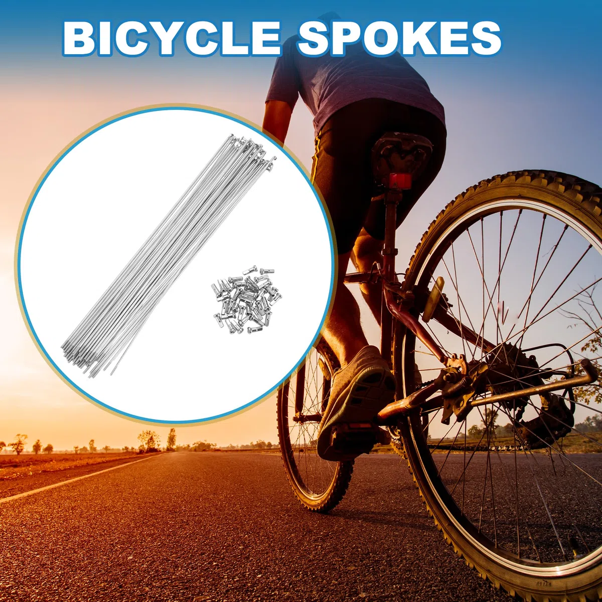 A ABSOPRO Radios para Bicicleta de montaña 14G, Acero al Carbono, Tono Plateado, 36 Unidades. 250mm