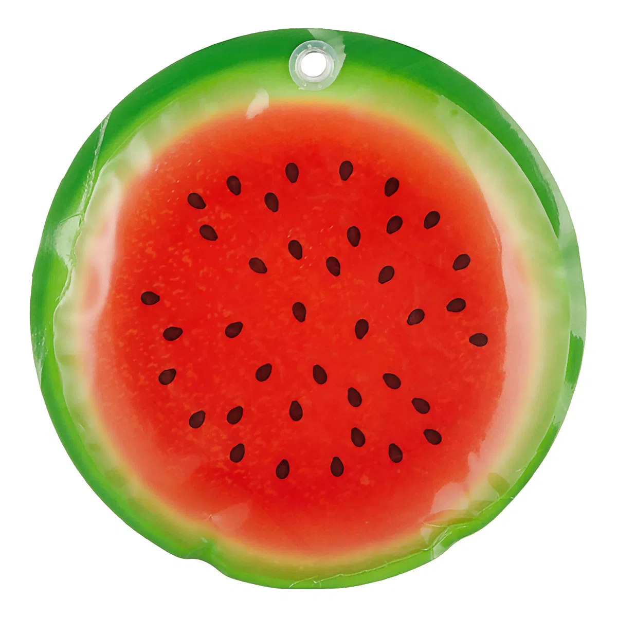 Cepewa Juego de 6 acumuladores de frío para frutas, 15 x 1 cm, de plástico reutilizable, para bolsa isotérmica