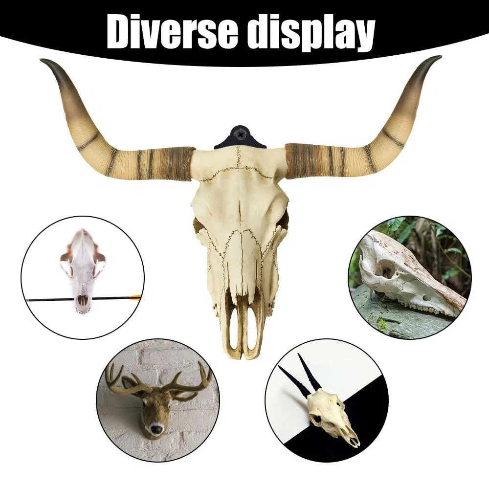 Colgador de calavera, 3 piezas de herramientas para colgar en la pared con tornillos para colgar ciervos, antílopes, cabras, osos calaveras