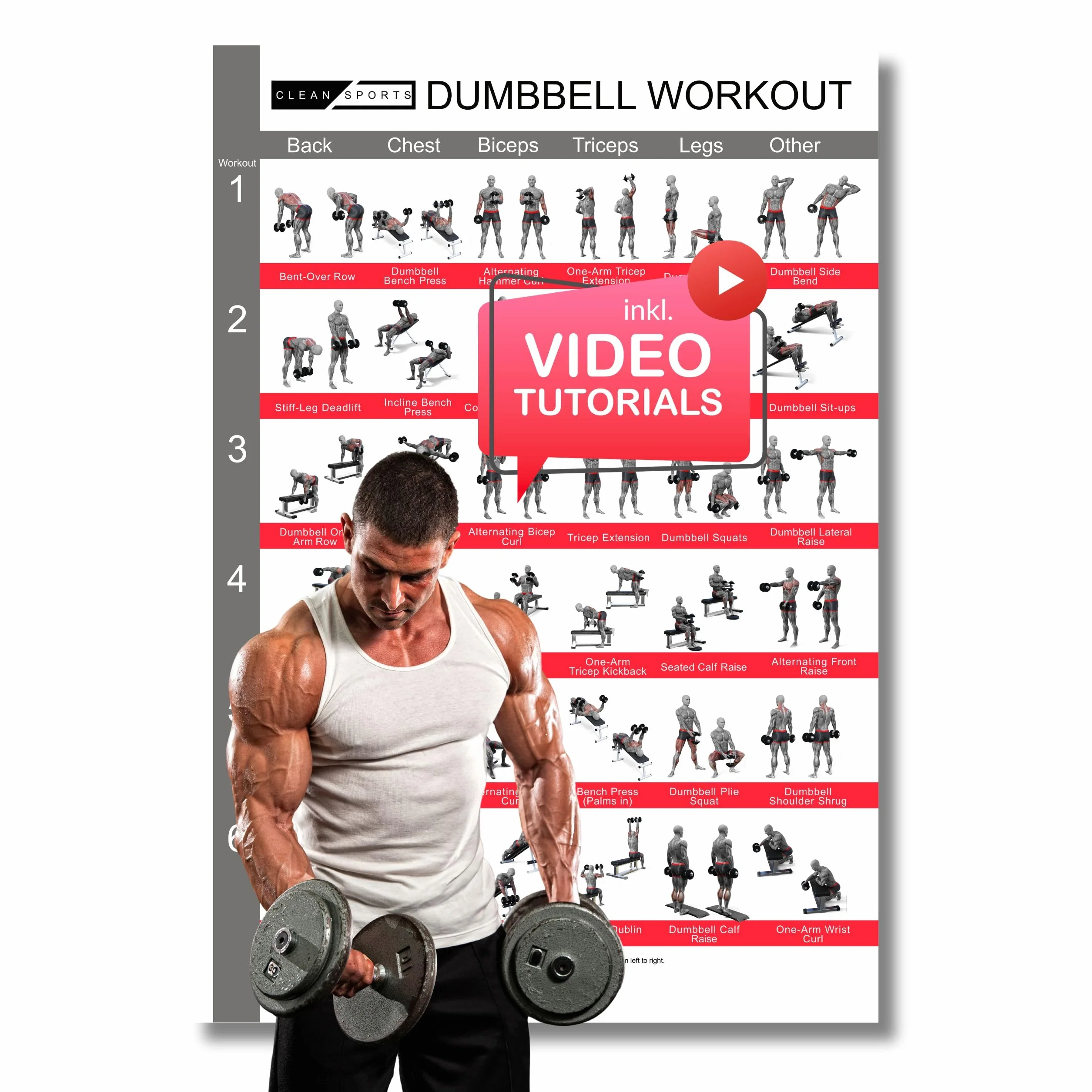 CLEAN SPORTS® Póster de entrenamiento con mancuernas DINÁ1 con seis entrenamientos de cuerpo completo | Póster deportivo Dumbbell para sala de ocio o gimnasio