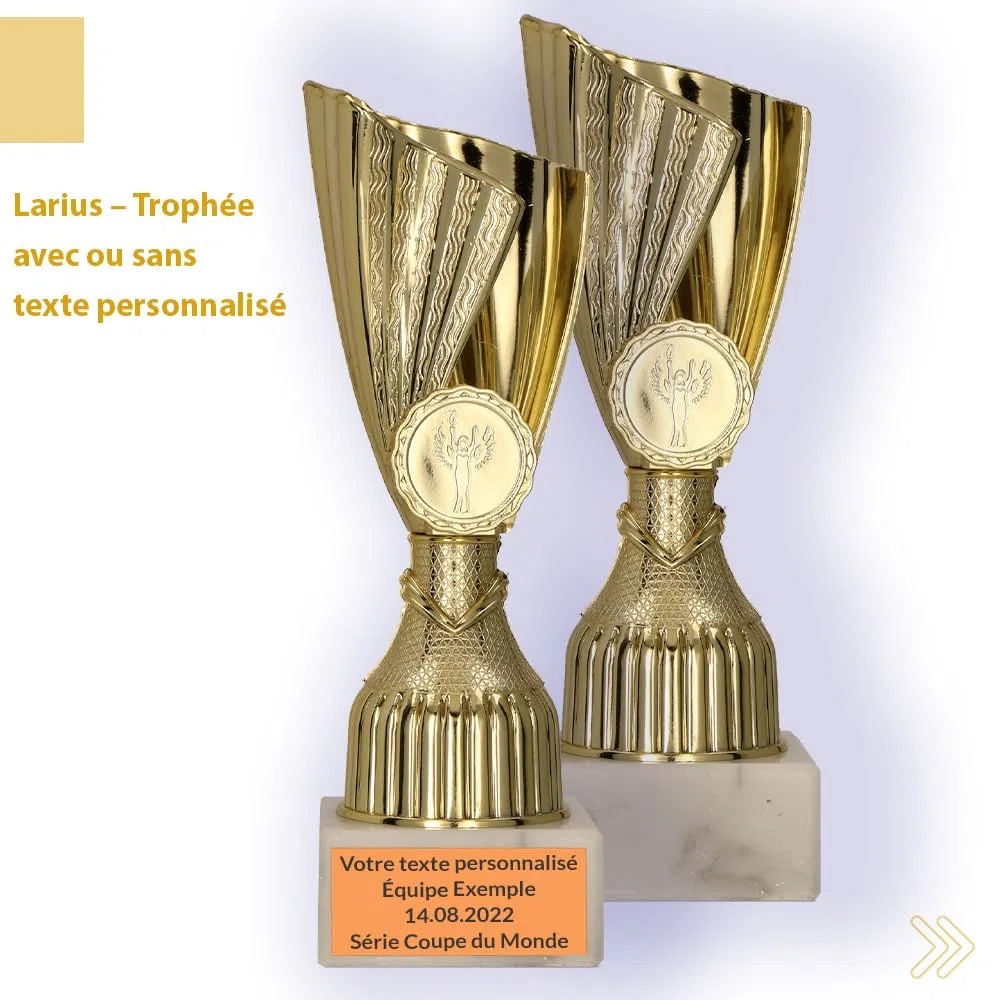 Larius Trofeo personalizable con base de piedra (17-19 cm, 195-385 g), ideal para torneos, fútbol, cumpleaños infantiles, equipos y premios – M3
