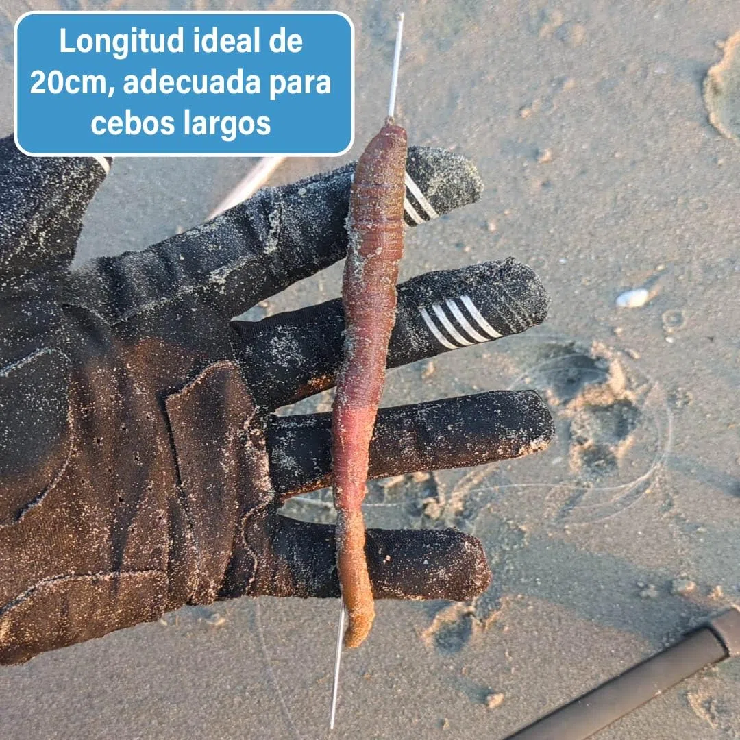 F2M - Agujas Pesca Huecas INOX 20cm Pack 10 - Tubo 10 Agujas cebar para Cebo, Gusanos y marisco - Aguja carnada surfcasting, Rigging Aguja para sardina lanzón y moluscos