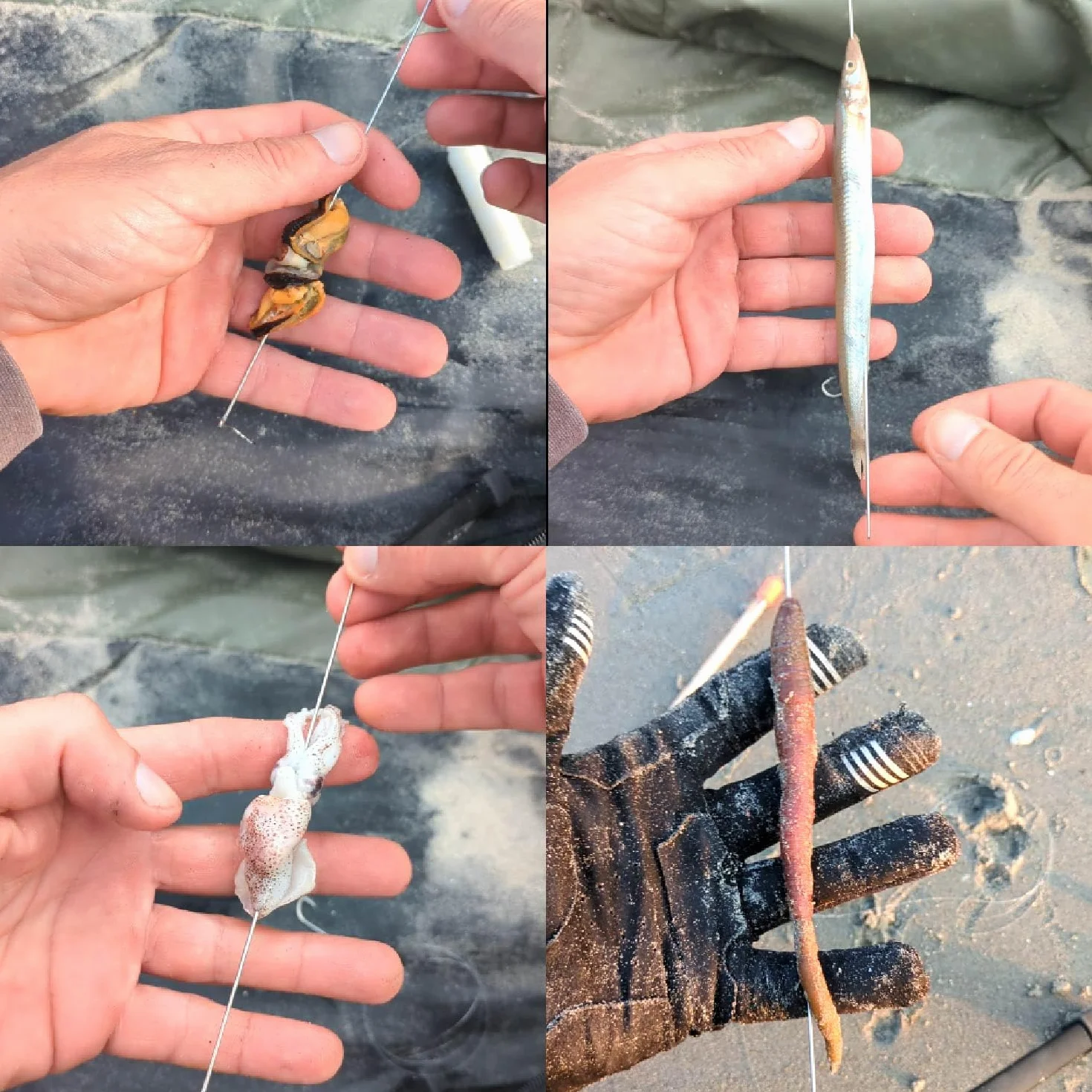 F2M - Agujas Pesca Huecas INOX 20cm Pack 10 - Tubo 10 Agujas cebar para Cebo, Gusanos y marisco - Aguja carnada surfcasting, Rigging Aguja para sardina lanzón y moluscos