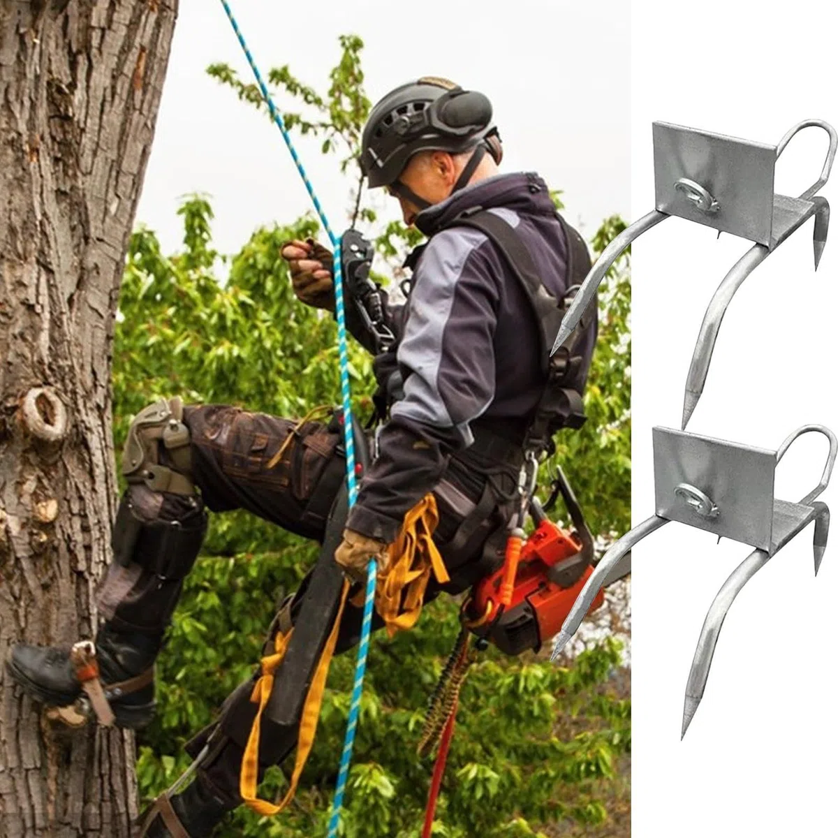 Pinchos para trepar árboles - Equipo de esporas de escalada de acero, juego de zapatos antideslizantes para trepar árboles para recoger frutas y observar la caza | Juego de escalada para la