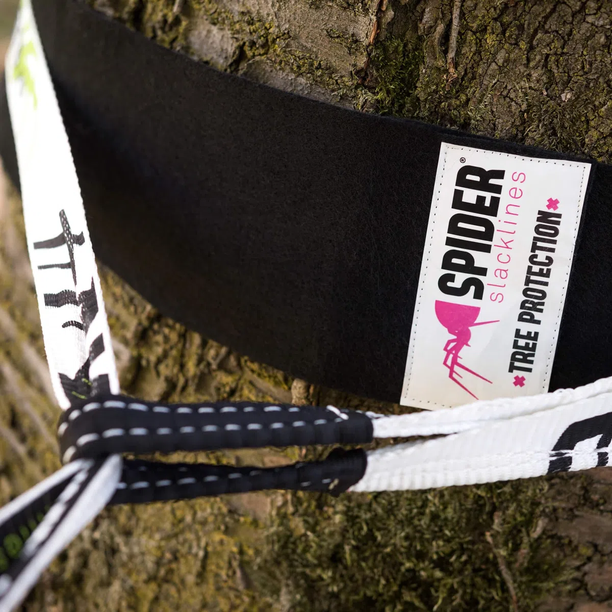 Spider Slacklines Slackline Tree de Wear