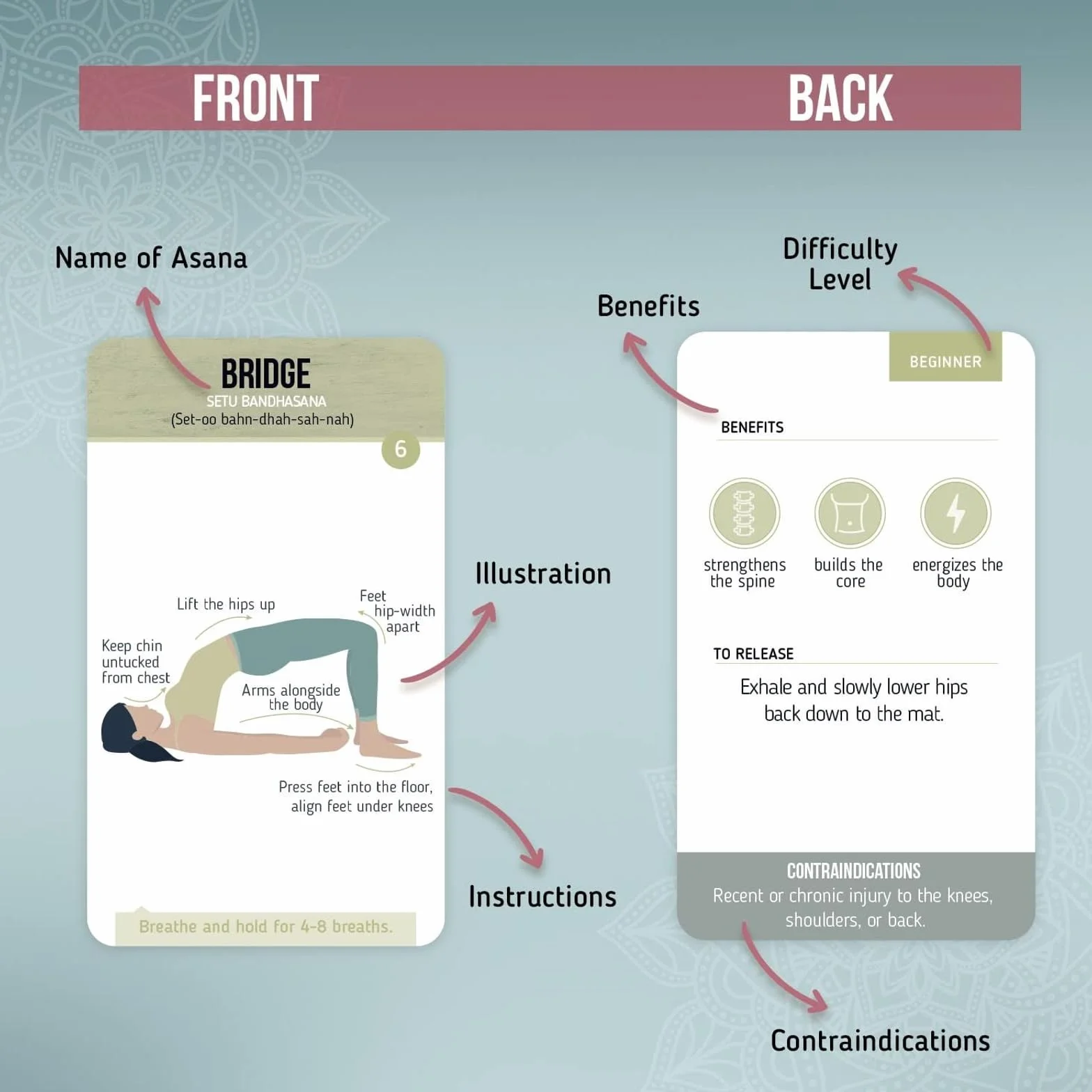 Merka Tarjetas De Posturas De Yoga: Accesorios de yoga para principiantes y maestros, baraja de 50 tarjetas de yoga para hombres, mujeres y niños; guía completa de posturas y secuencias esenciales.