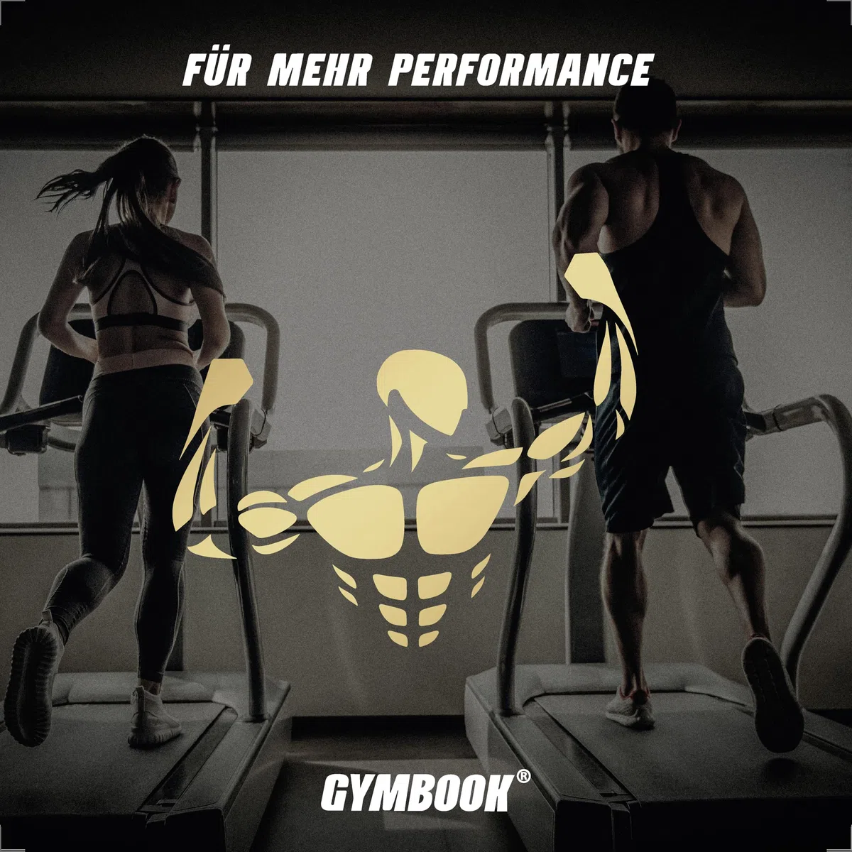 Diario de entrenamiento, planificador y entrenador de primera calidad. Documentación y éxito en fitness, musculación, nutrición, cardio y más. Extras incluidos.