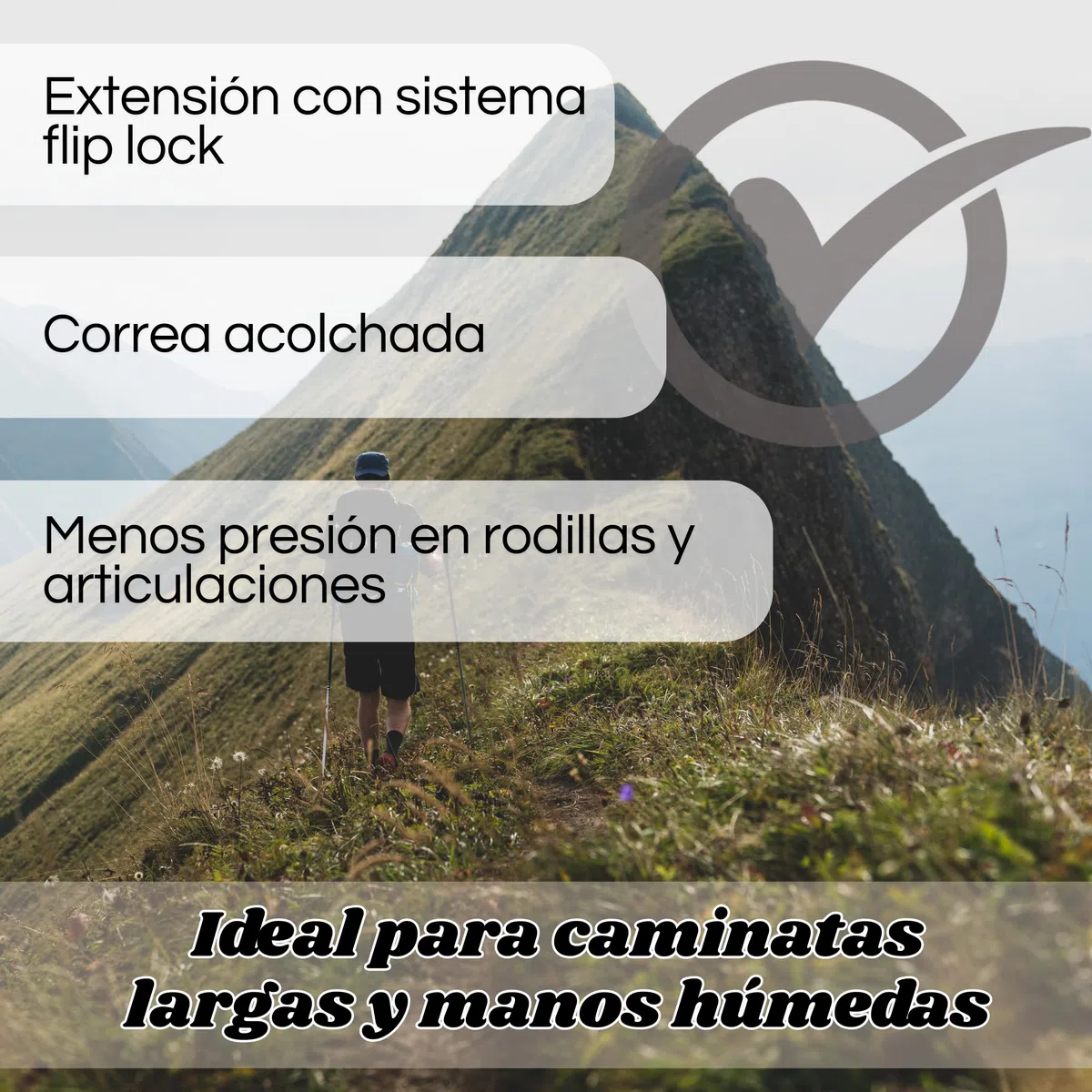 Weida | Bastones Extensibles de Aluminio 2 Unidades de Senderismo | Ligeros y Resistentes con Empuñadura Ergonómica de Goma | Correa Ajustable | Bloqueo rápido | para Todoterreno