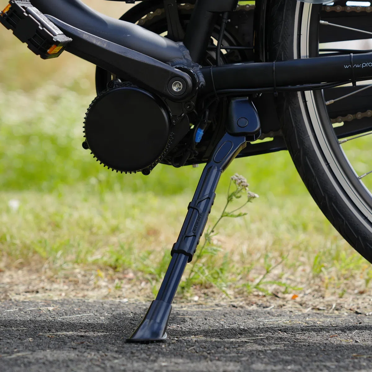 Prophete Ursus King Kickstand