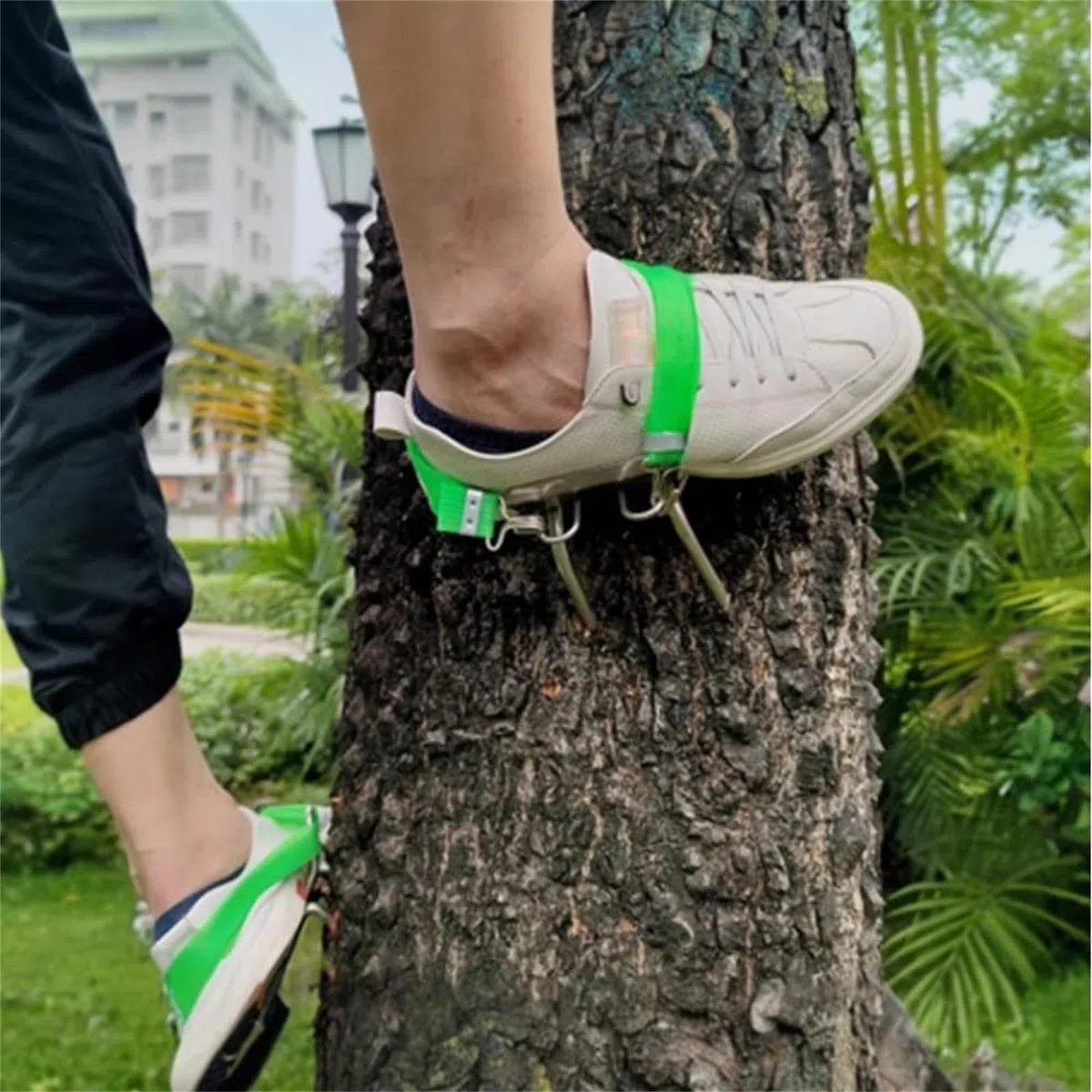 Juego de zapatos antideslizantes para trepar árboles al aire libre, pinchos para trepar árboles, equipo portátil para trepar árboles para trabajar en árboles, ideal para caza, recolección, tala