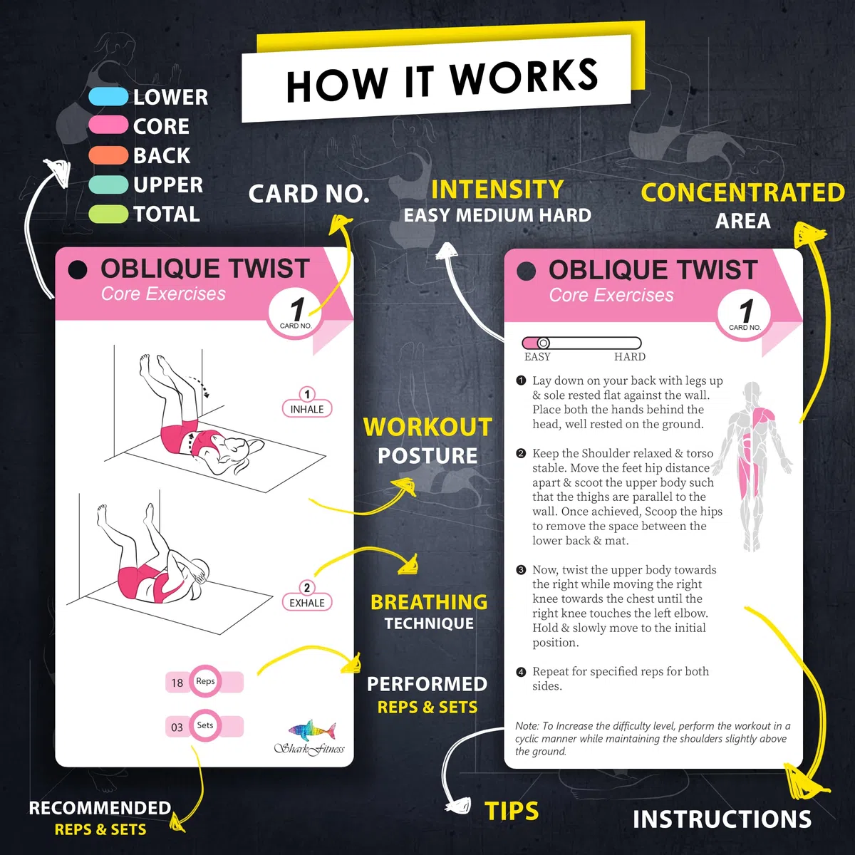Flexies Entrenamientos de pilates de pared para mujeres, 58 tarjetas de ejercicio con posturas de entrenamiento de pilates en la pared, instrucciones y consejos de respiración, anillo y marcador de