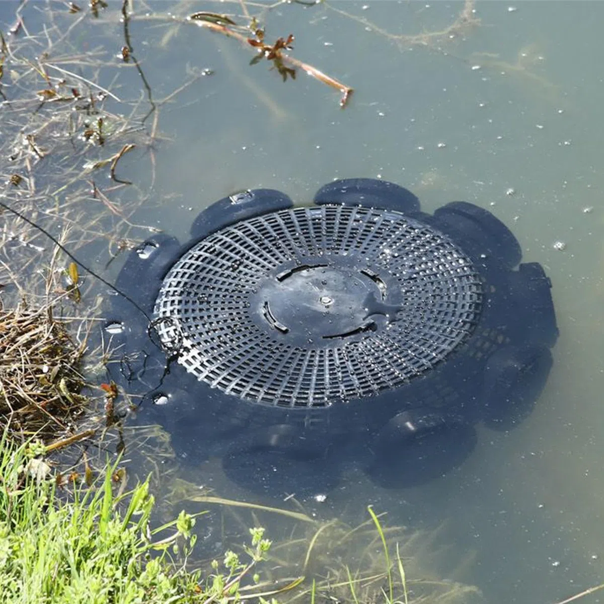 Trampa para cangrejos, jaula de al aire libre, jaula de cebo | Camarones, Anguilas y cangrejos de río - agua dulce y salada, estanques, lagos, ríos