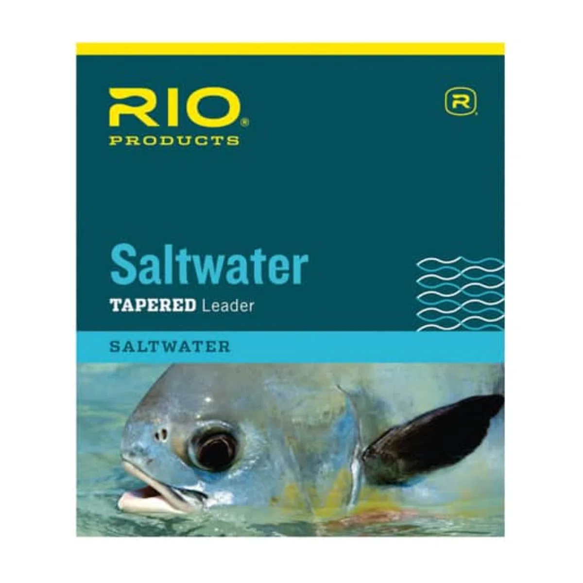 Rio Fishing Products Saltwater Leader - Juego de 3 Productos de Pesca, 30lb - 3 Pack