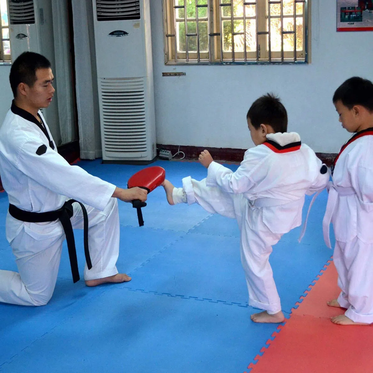 SYH&AQYE Almohadillas para Patadas de Taekwondo, Paletas de Entrenamiento para Objetivos de Patadas TKD Duraderas, Almohadillas de Doble Golpe para Práctica de Bateo de Taekwondo, Artes Marciales