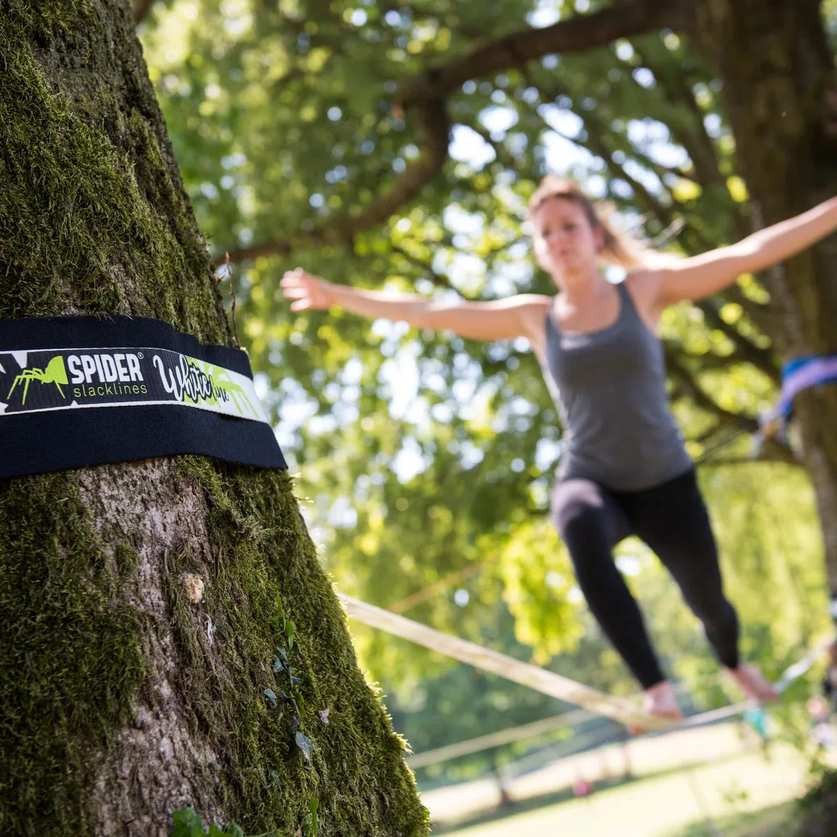 Spider Slacklines Slackline Tree de Wear