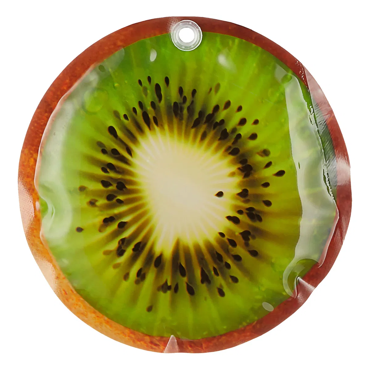 Cepewa Juego de 6 acumuladores de frío para frutas, 15 x 1 cm, de plástico reutilizable, para bolsa isotérmica