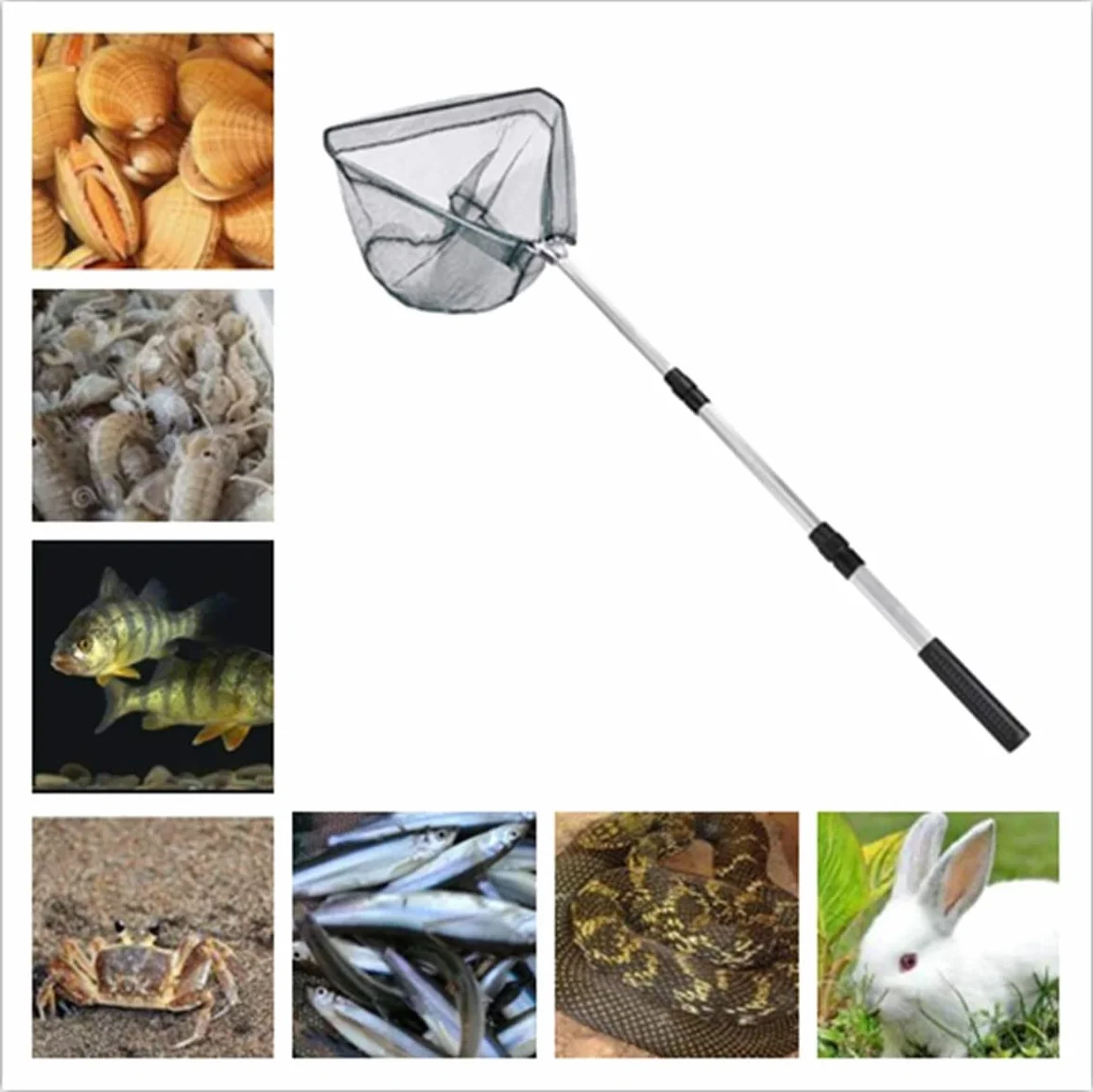 Red de Mariposas, Telescópicas Red Atrapa Mariposas Extensible Red para Atrapar Mariposas y Insectos con Antideslizante Mango Plegable para Atrapar Insectos, Pescar, Exterior y Jardín