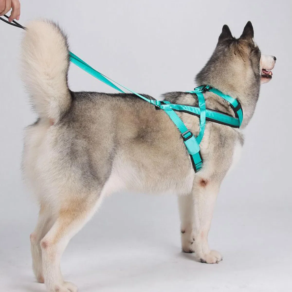 Arnés para Trineo De Perros - Arnés Reflectante para Running Canino,Correa Ajustable Y Cómoda para Entrenamiento De Trineo Paseos Y Ejercicio Al Aire Libre