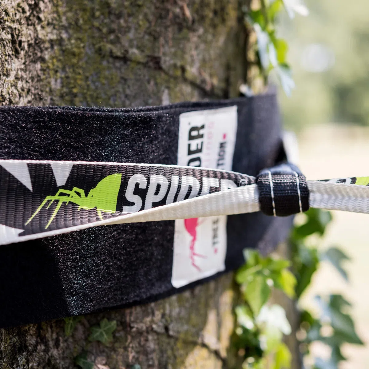 Spider Slacklines Slackline Tree de Wear