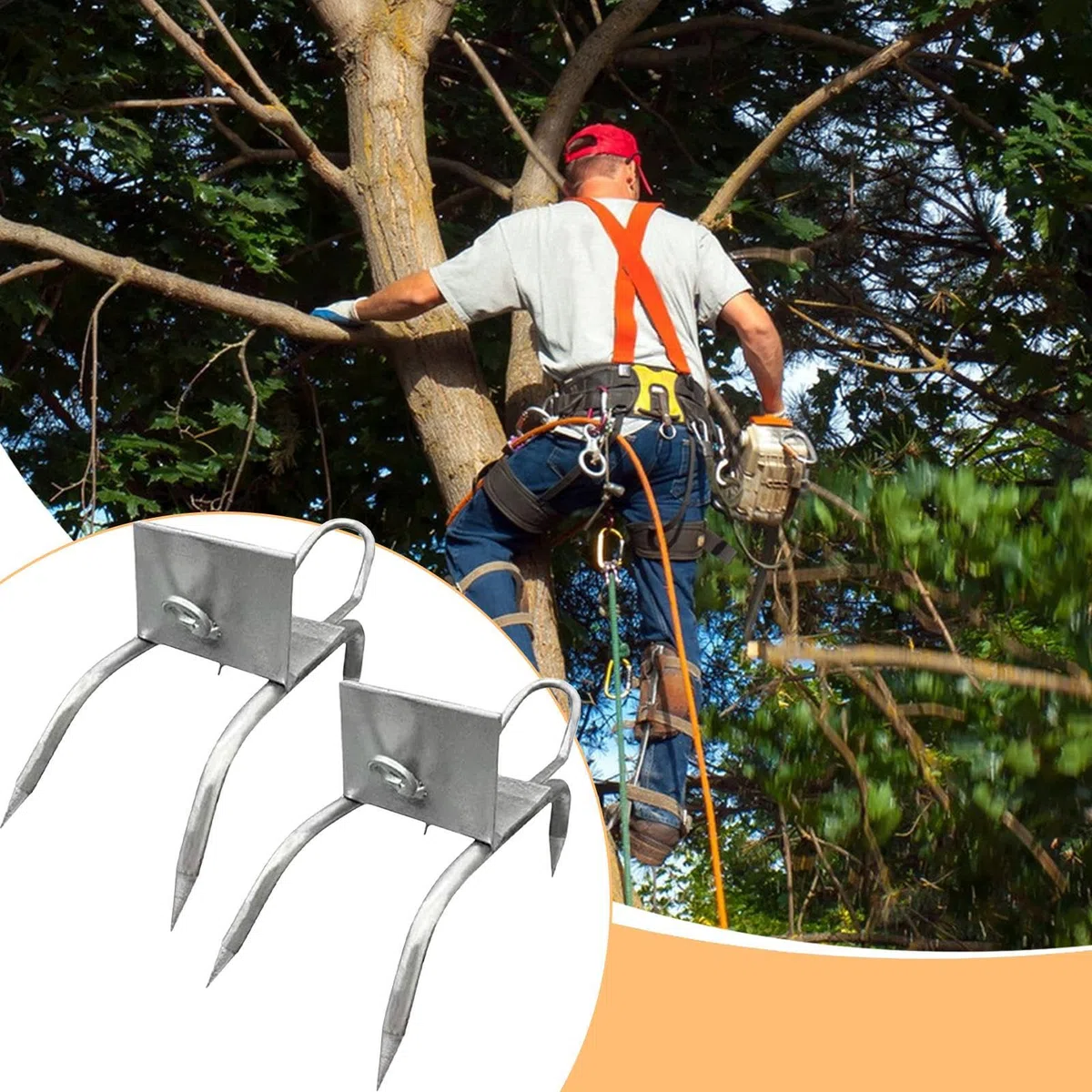 Pinchos para trepar árboles - Equipo de esporas de escalada de acero, juego de zapatos antideslizantes para trepar árboles para recoger frutas y observar la caza | Juego de escalada para la