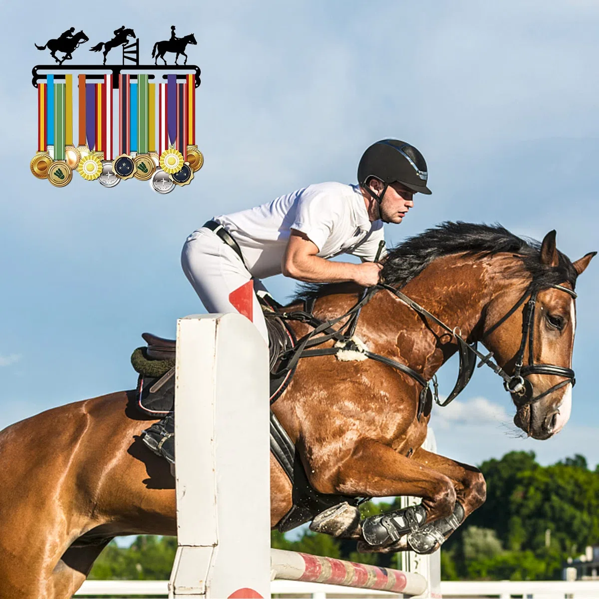 SUPERDANT medallero colgador de medallas Ganchos para Medallas de Equitación Soporte para Medallas de Obstáculos Ecuestres Apto para Más de 60 medallas Ganchos Montados En la Pared de Hierro Negro