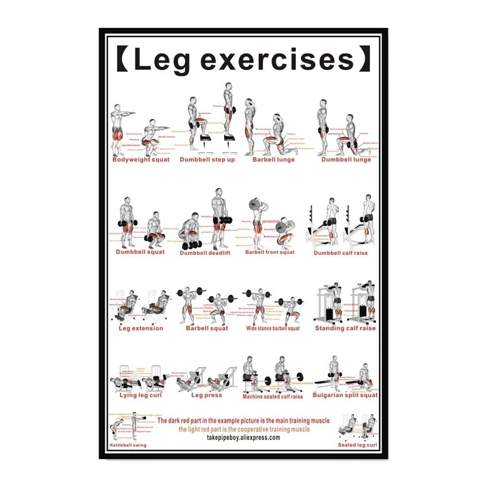 Póster De Ejercicios De Entrenamiento Con Mancuernas,Tabla De Entrenamiento De Fuerza,Desarrollo Muscular,Rutina De Levantamiento De Pesas De Gimnasio En Casa,Guía De Construcción Corporal-40X60Cm