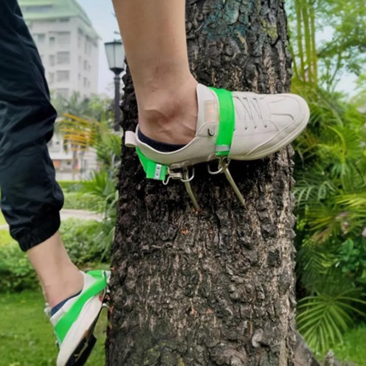 Pinchos para trepar árboles - Equipo de esporas de escalada de acero, juego de zapatos antideslizantes para trepar árboles para recoger frutas y observar la caza | Juego de escalada para la