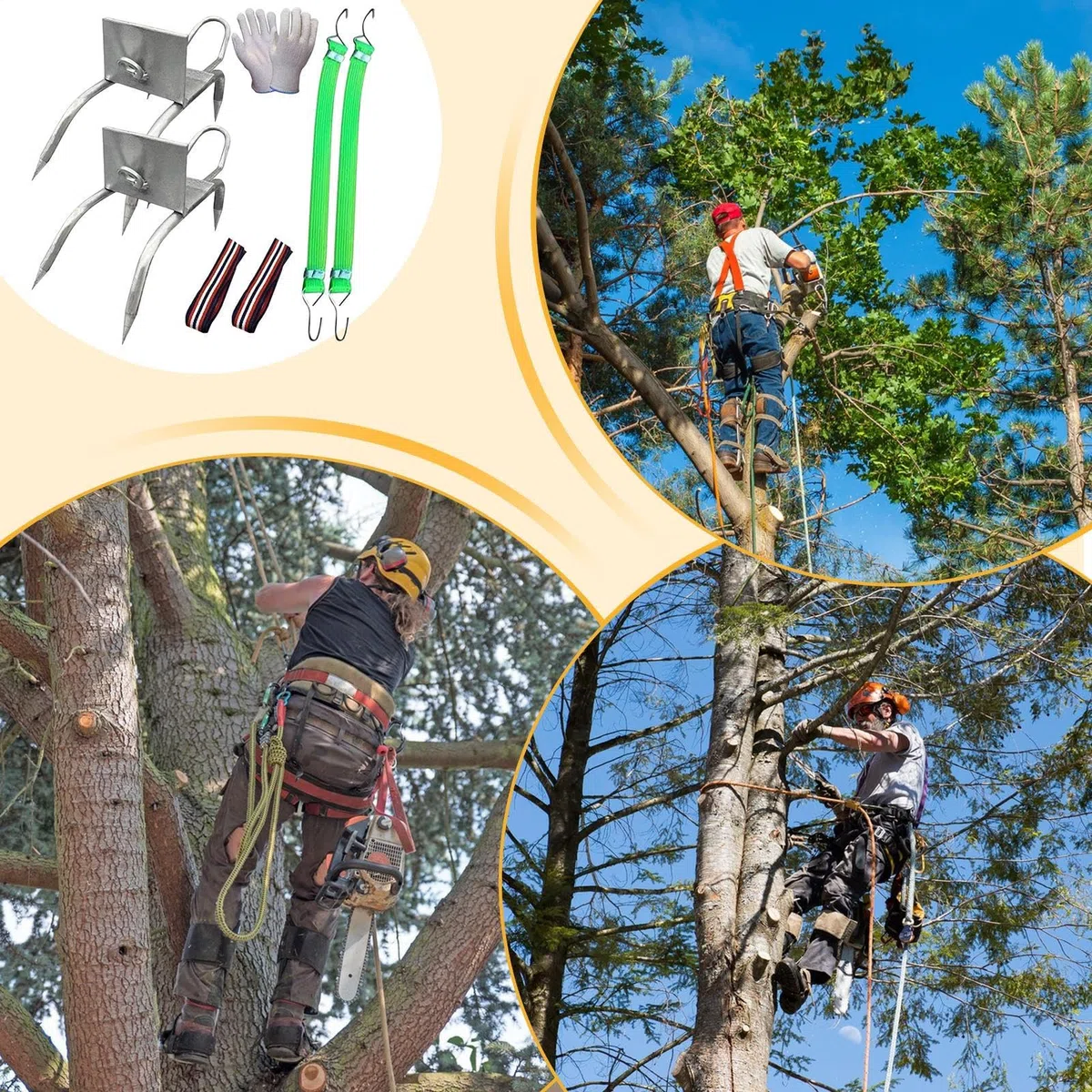 Pinchos para trepar árboles - Equipo de esporas de escalada de acero, juego de zapatos antideslizantes para trepar árboles para recoger frutas y observar la caza | Juego de escalada para la