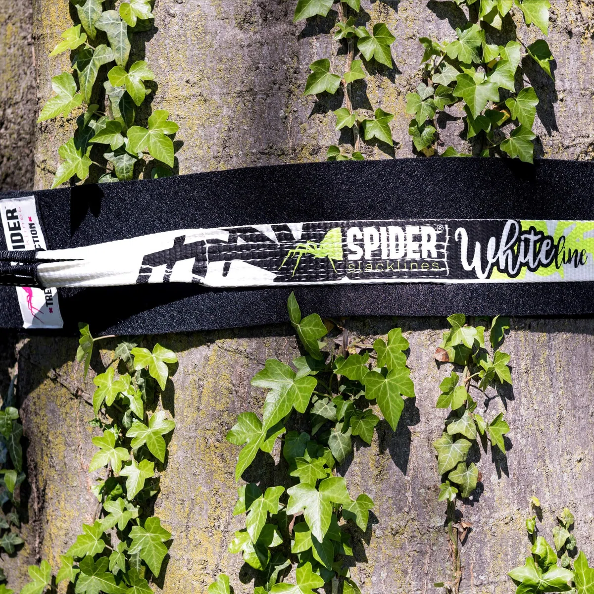 Spider Slacklines Slackline Tree de Wear