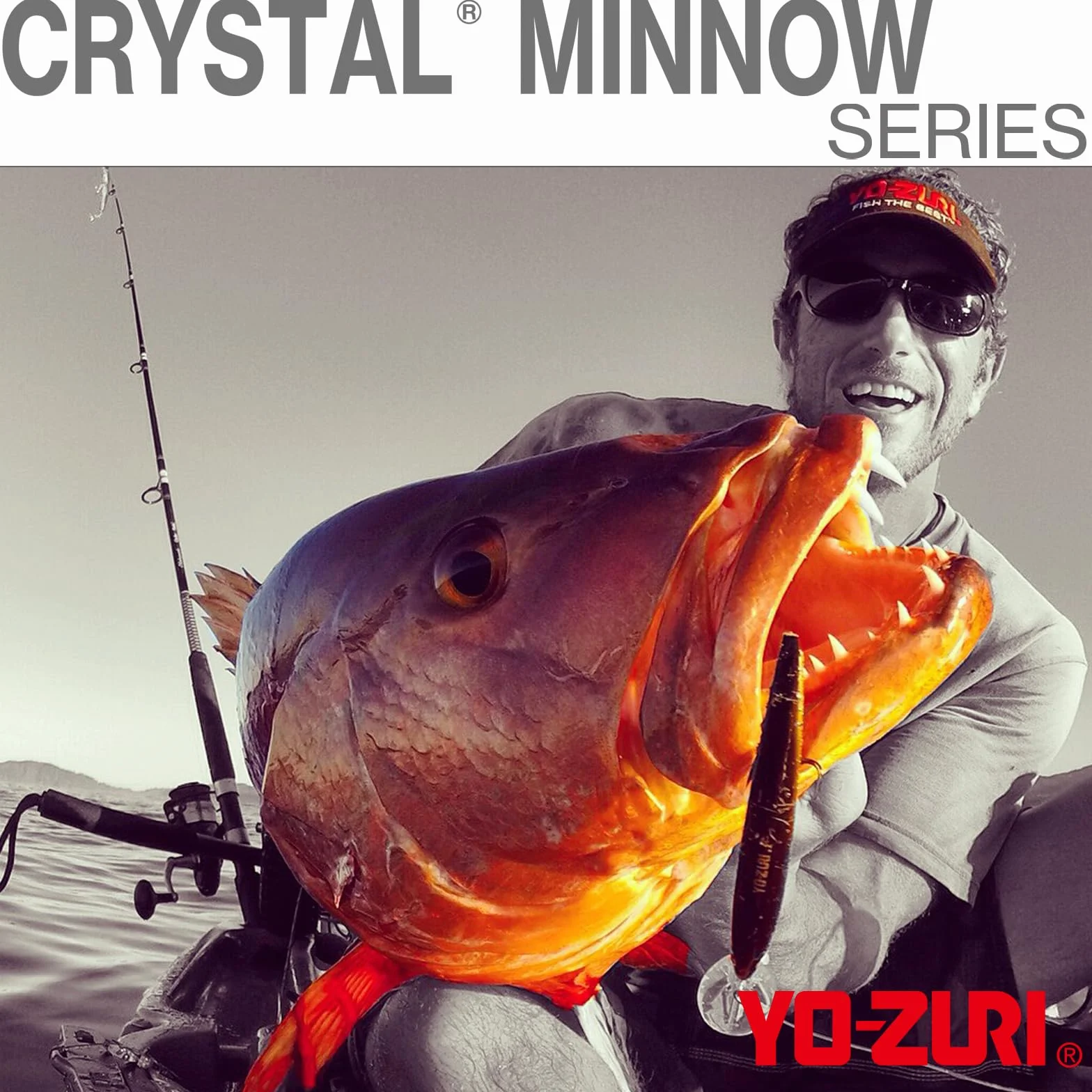 Yo-Zuri Yo Zuri R 1301 Crystal Minnow Deep Diver Walleye ' 5 1 4