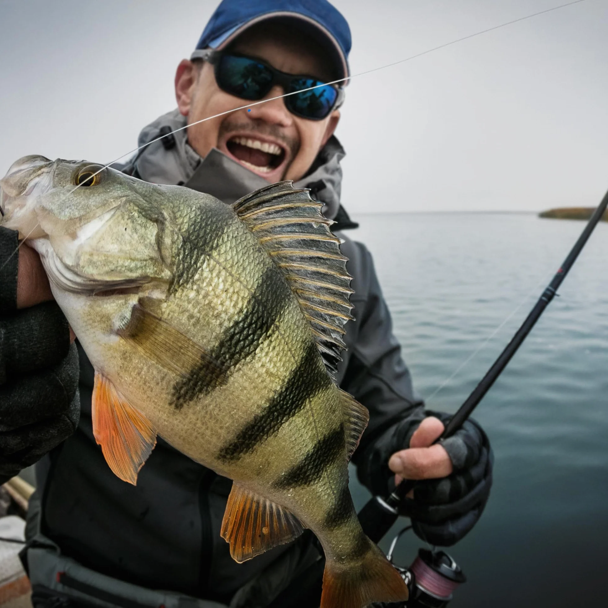 Plomos Pesca de Curricán 1x750g - Plomos de Pesca con Giratorio - Plomo - Accesorios - Fishing Kit Completo Mar – Pescar - Sport Set