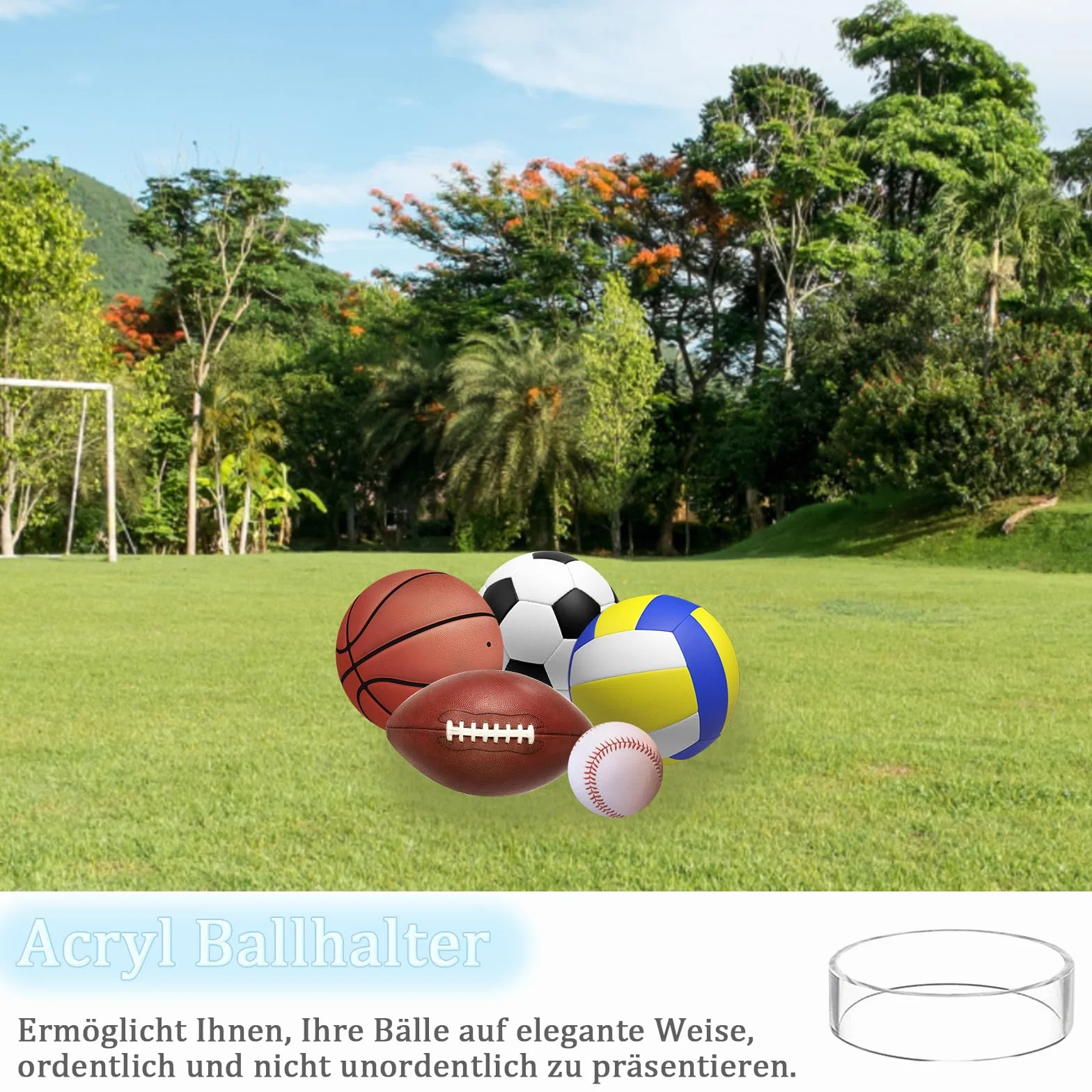 Juego de 6 soportes para pelotas de acrílico, Organizador Balones para exhibir baloncesto, fútbol y voleibol
