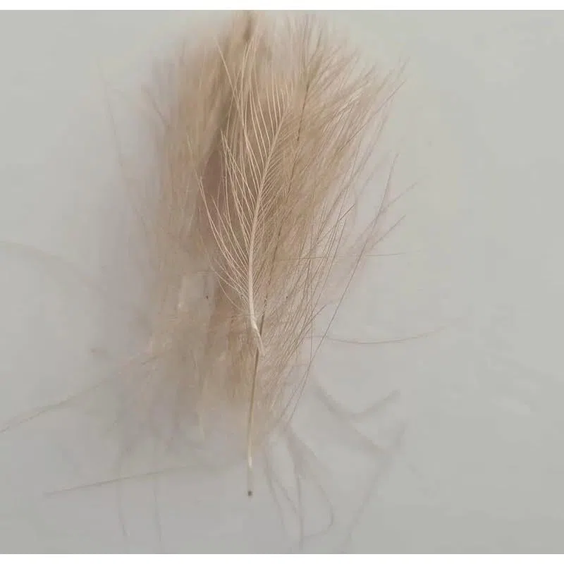 Pluma Cul de Canard CDC Natural Salvaje Gris Claro AVELLANADO Natural Light Dun para EL Atado DE Moscas,NINFAS Y PERDIGONES CANTIDAD 1 GRAMO